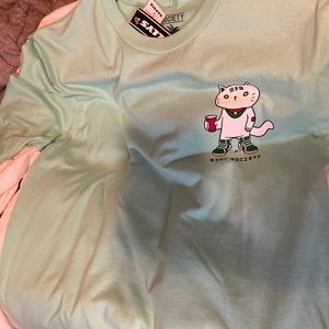 Mint Colored Asian Cat Graphic Tee